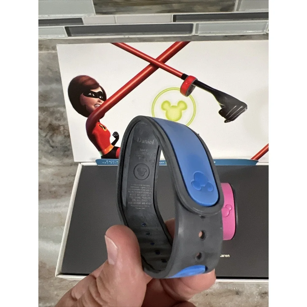 Disney world incredibles